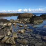 February weather in Malta