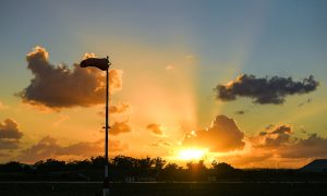 A WARMER AND DRIER NOVEMBER BRINGS THE METEOROLOGICAL AUTUMN TO A CLOSE