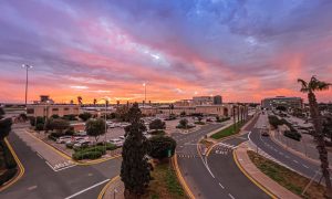 WARM WEEKEND SETS NEW AIR TEMPERATURE RECORDS FOR JANUARY