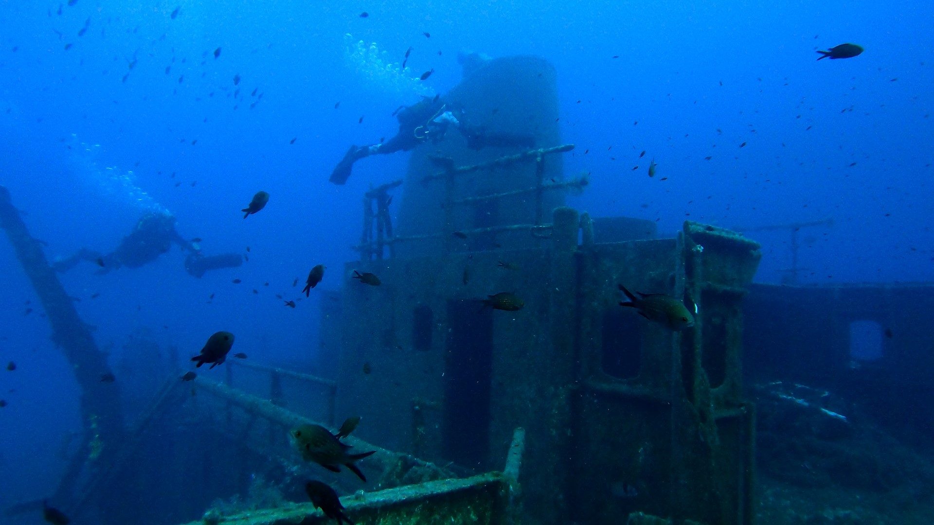 Submerged World: The Documentary Series