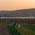 THE MALTESE ISLANDS EXPERIENCE DRIEST OCTOBER SINCE 1922 3 titl -