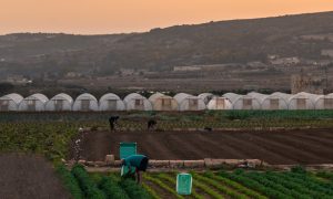 THE MALTESE ISLANDS EXPERIENCE DRIEST OCTOBER SINCE 1922